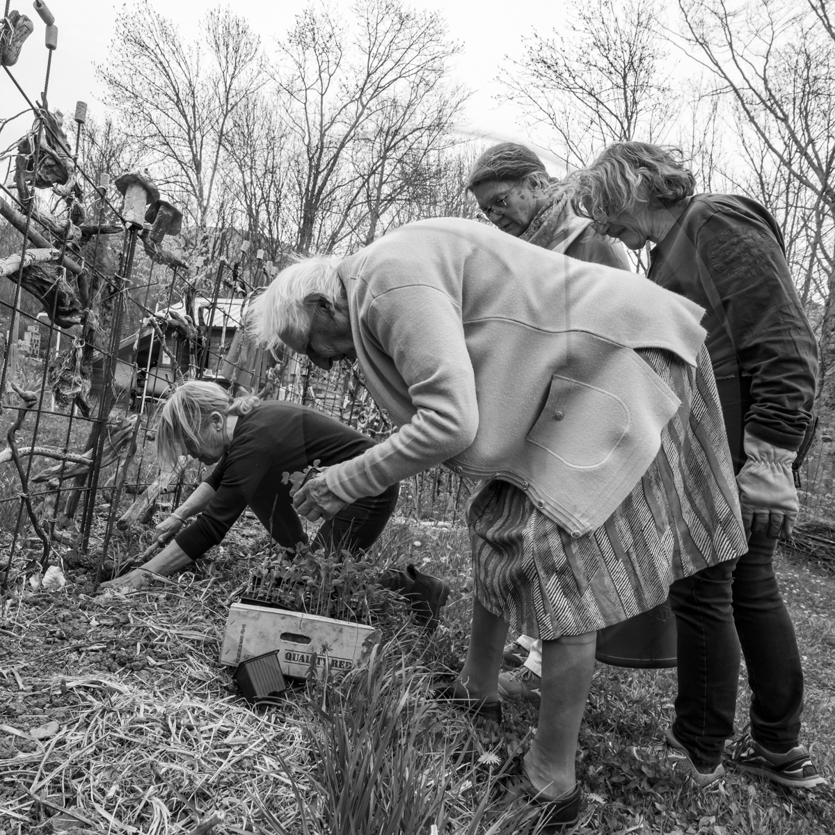 20 avril 2022 : des contes, des pommes de terre et un petit café