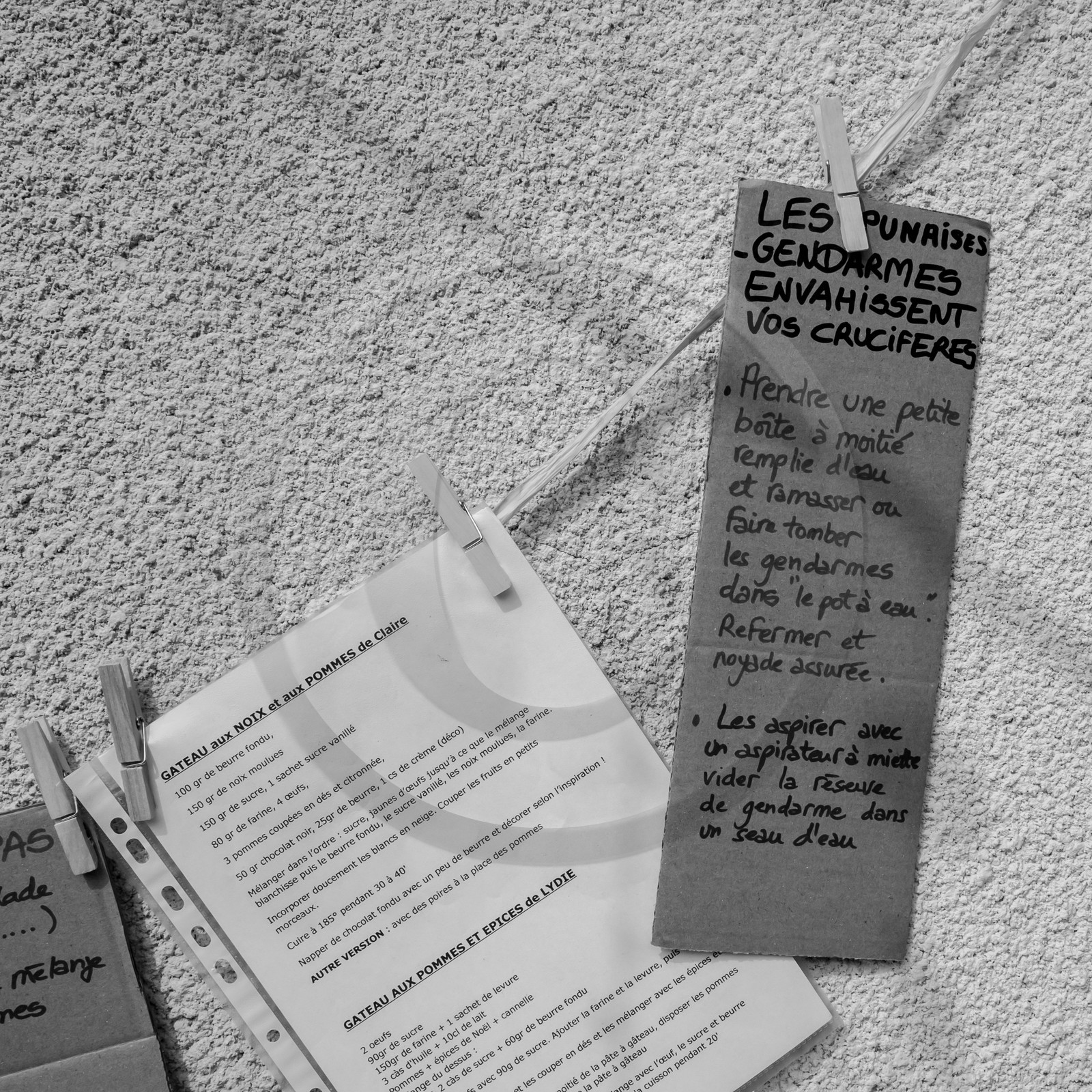 25 mai 2019 : Vide-Jardin de l'Ouort de Benevènt