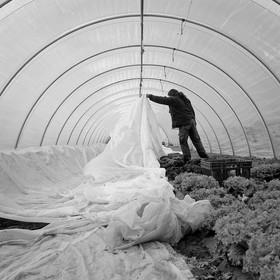 Sophie Jaussaud, maraichère à Ancelle