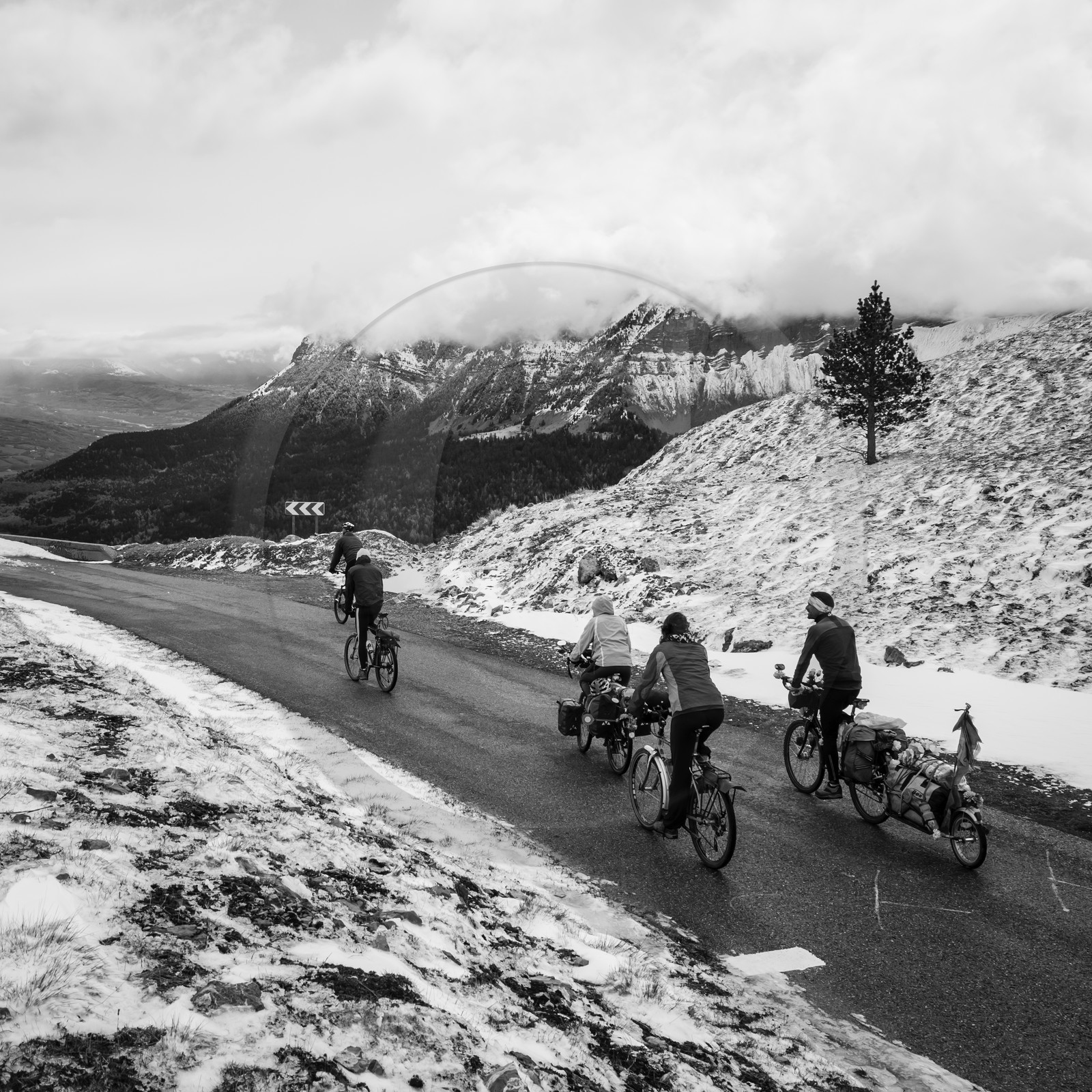 dlebioda-01052016-L1161802.jpg