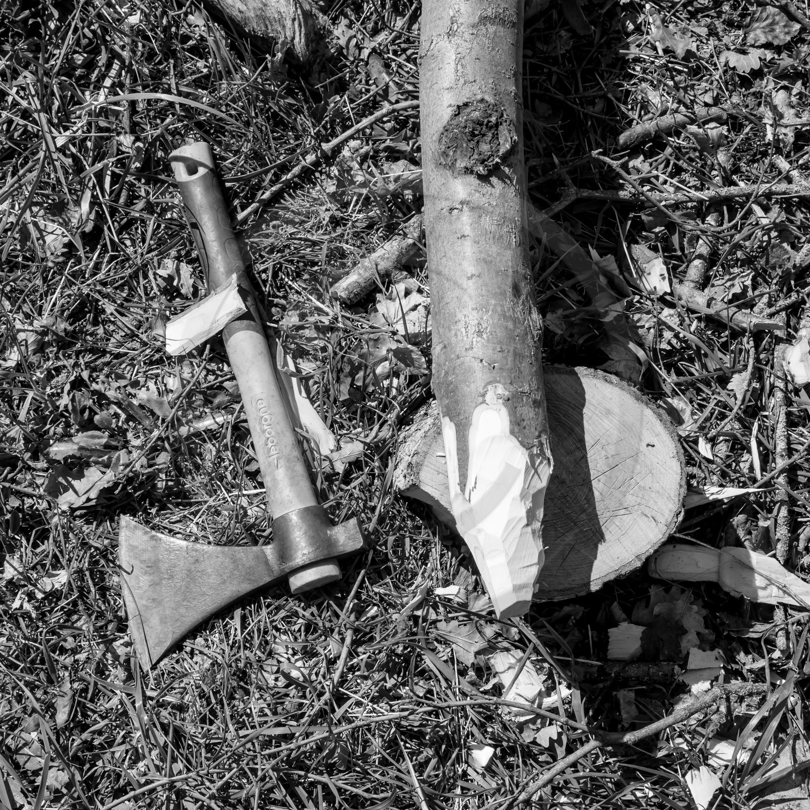 L'Ouort de Bénévent - 29 mars 2017