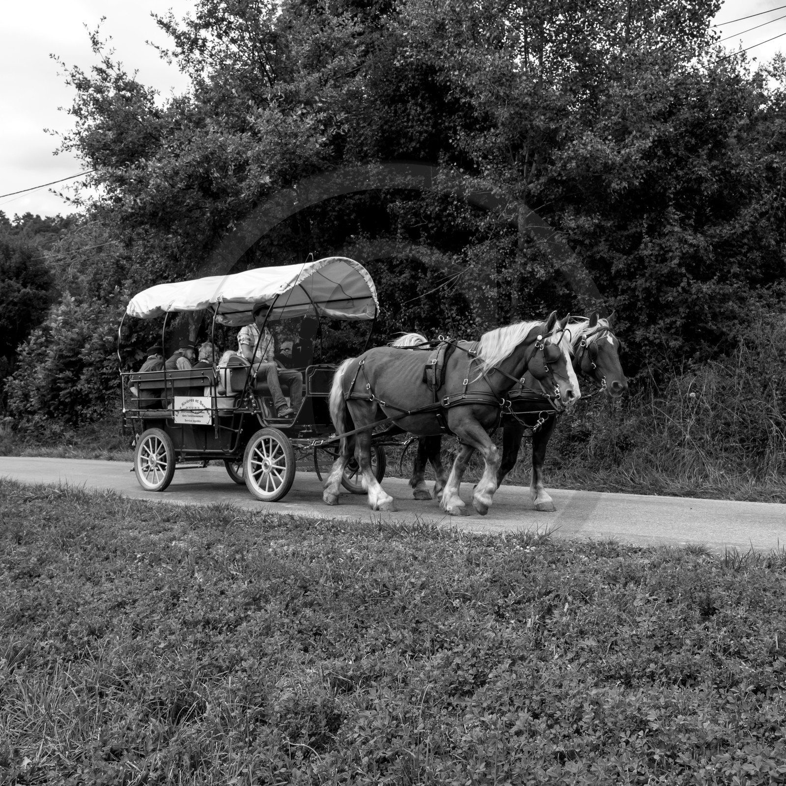 Promenade en calèche et contes