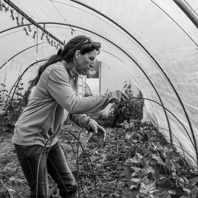 Maraichage biologique dans le Champsaur