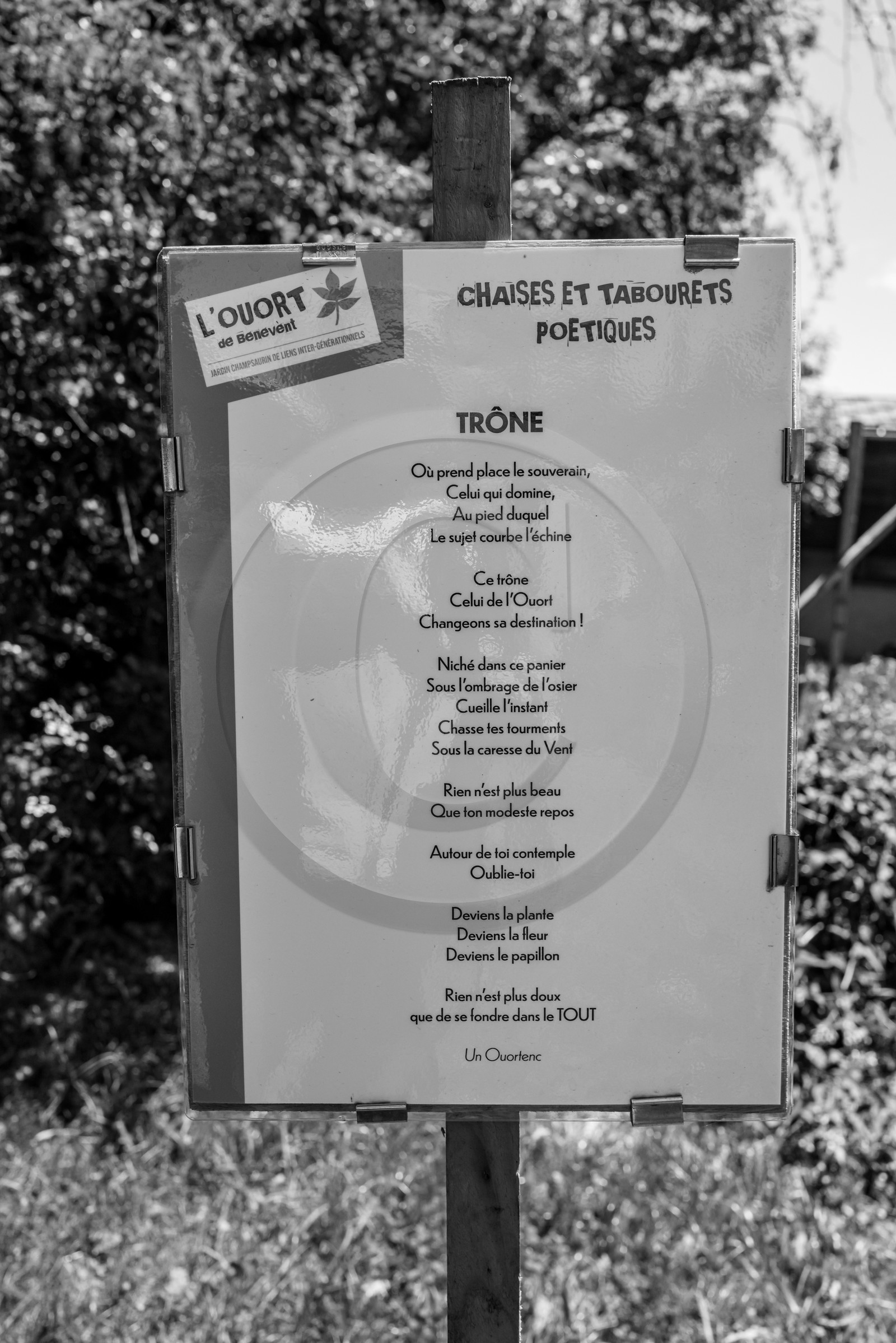 12 juin 2024 : création d'un jeu et jardinage