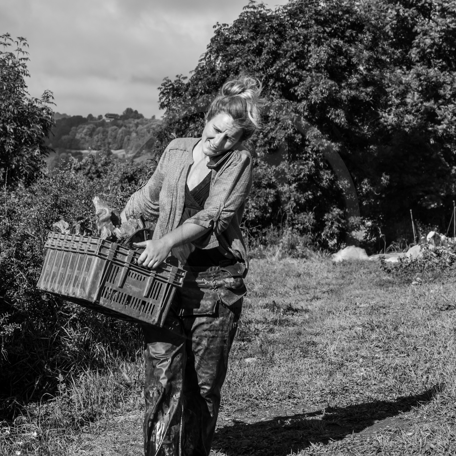 Maraichage biologique dans le Champsaur