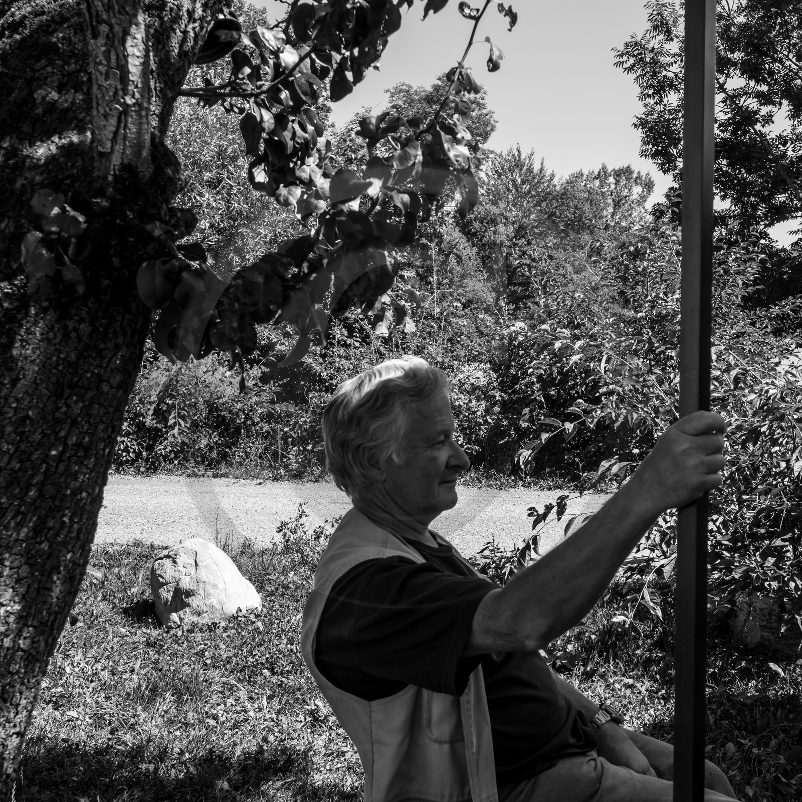 Atelier Fuseaux de lavande