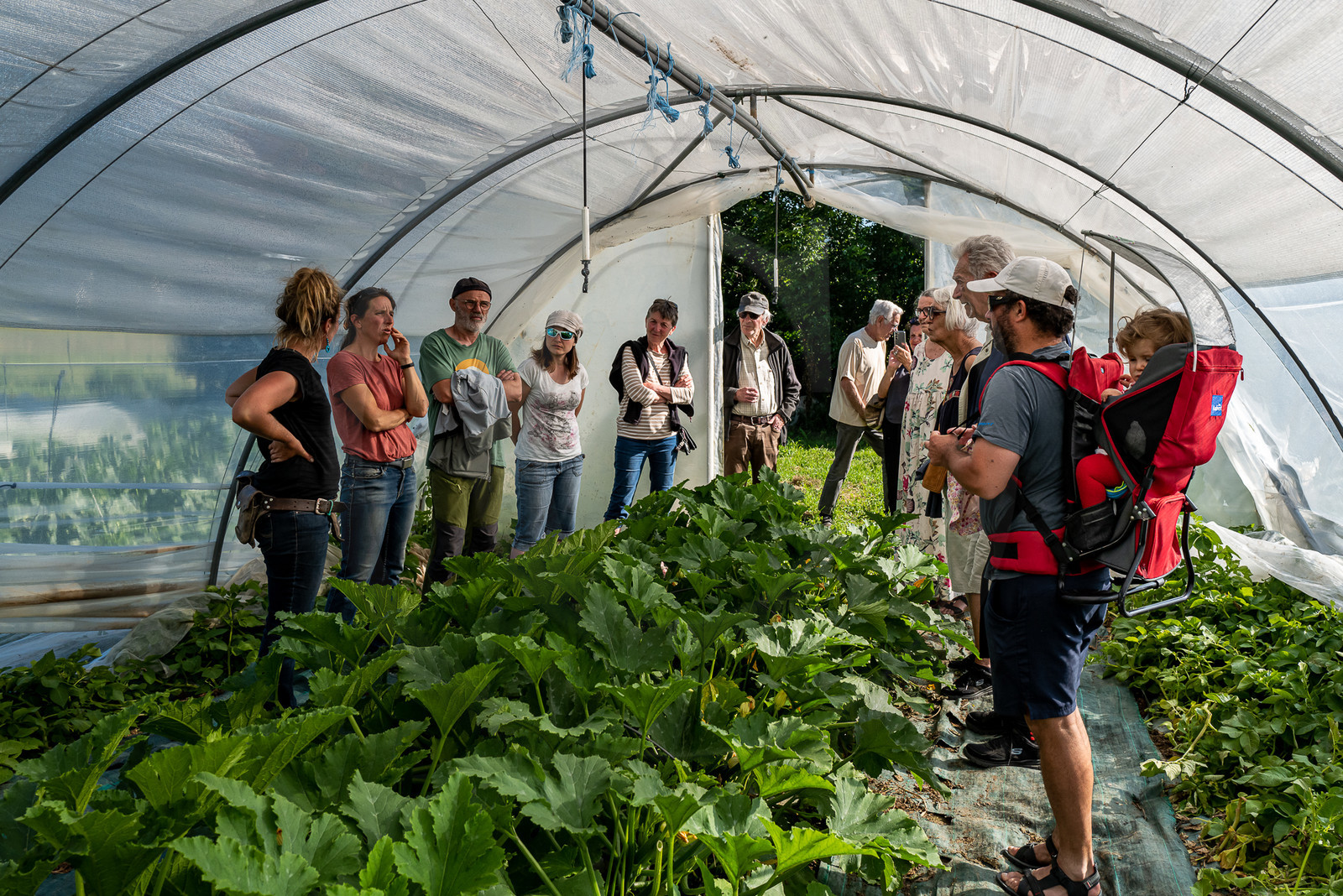 Légumontagne : maraichage biologique à Ancelle