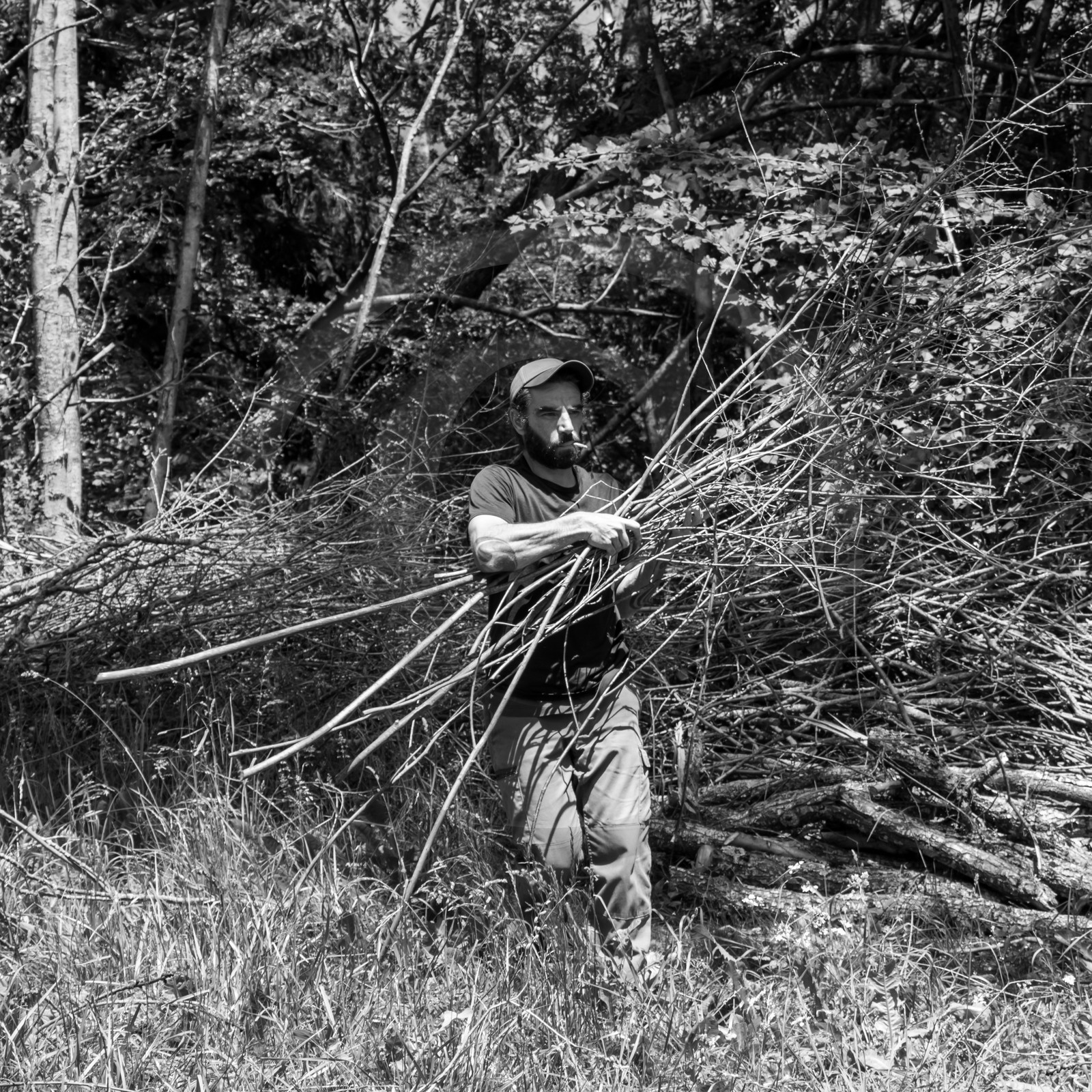 07 juin 2017 - Plantation - Haie - Réunion