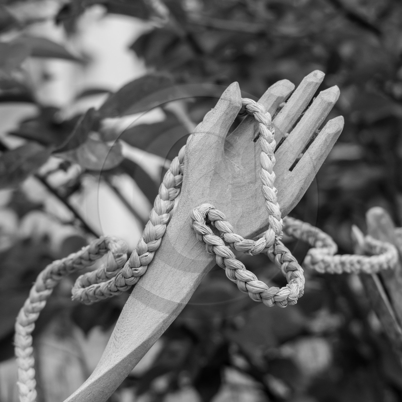 25 mai 2019 : Vide-Jardin de l'Ouort de Benevènt