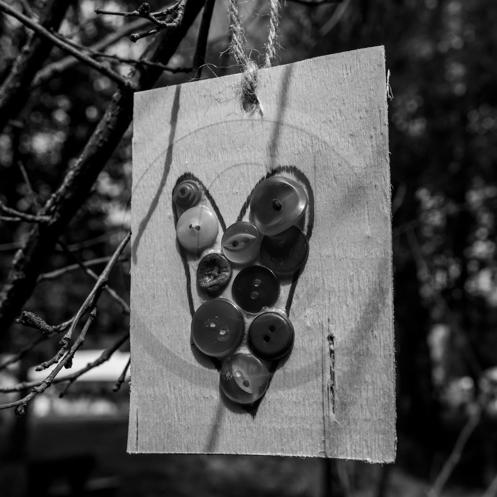 Festival l'Echo des mots