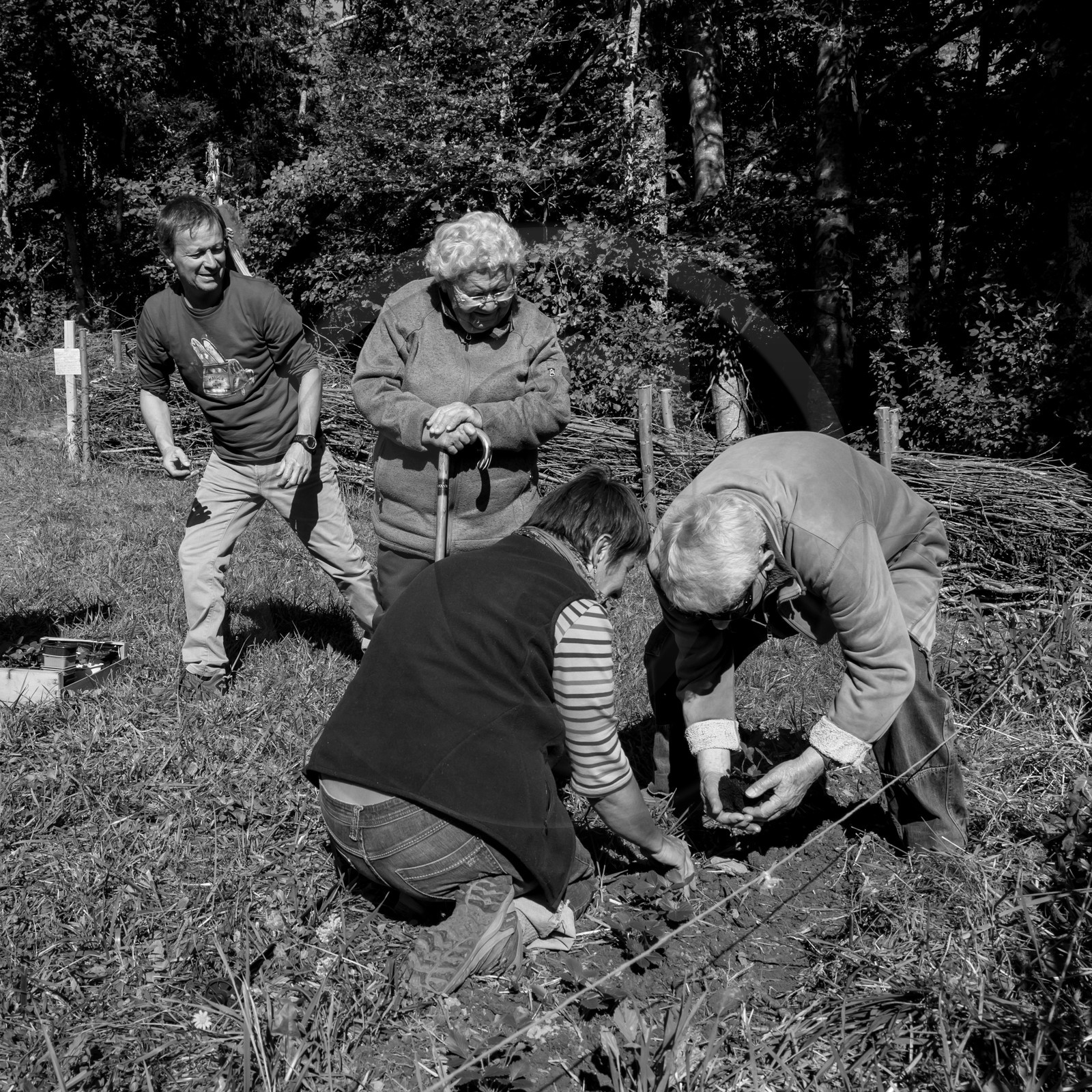 20 septembre 2017 - Jardinage