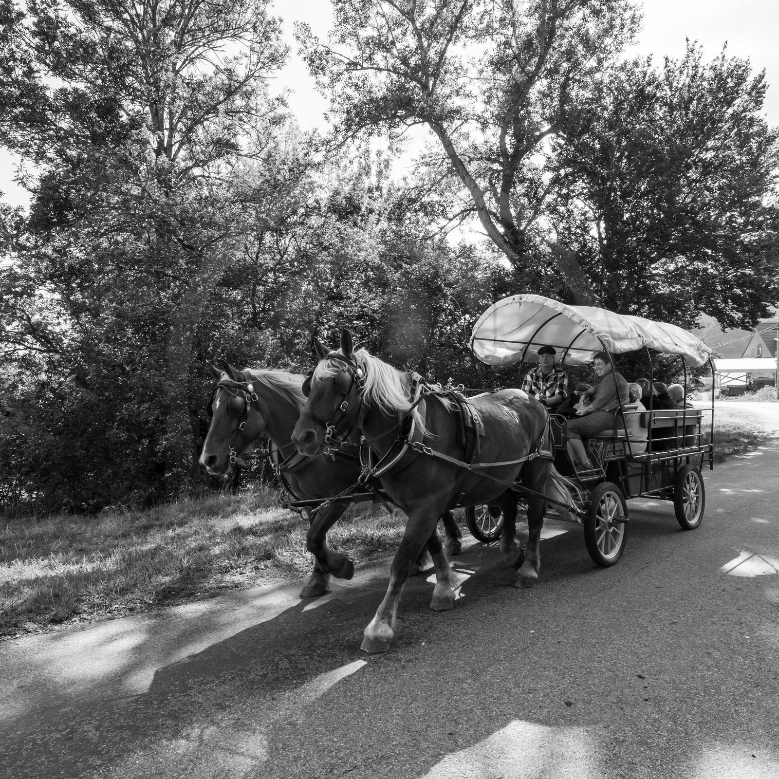 25 septembre 2019 : Promenade en calèche