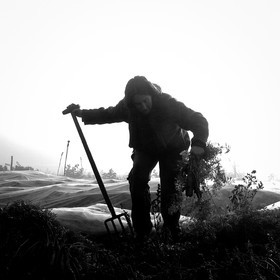 Sophie Jaussaud, maraichère à Ancelle