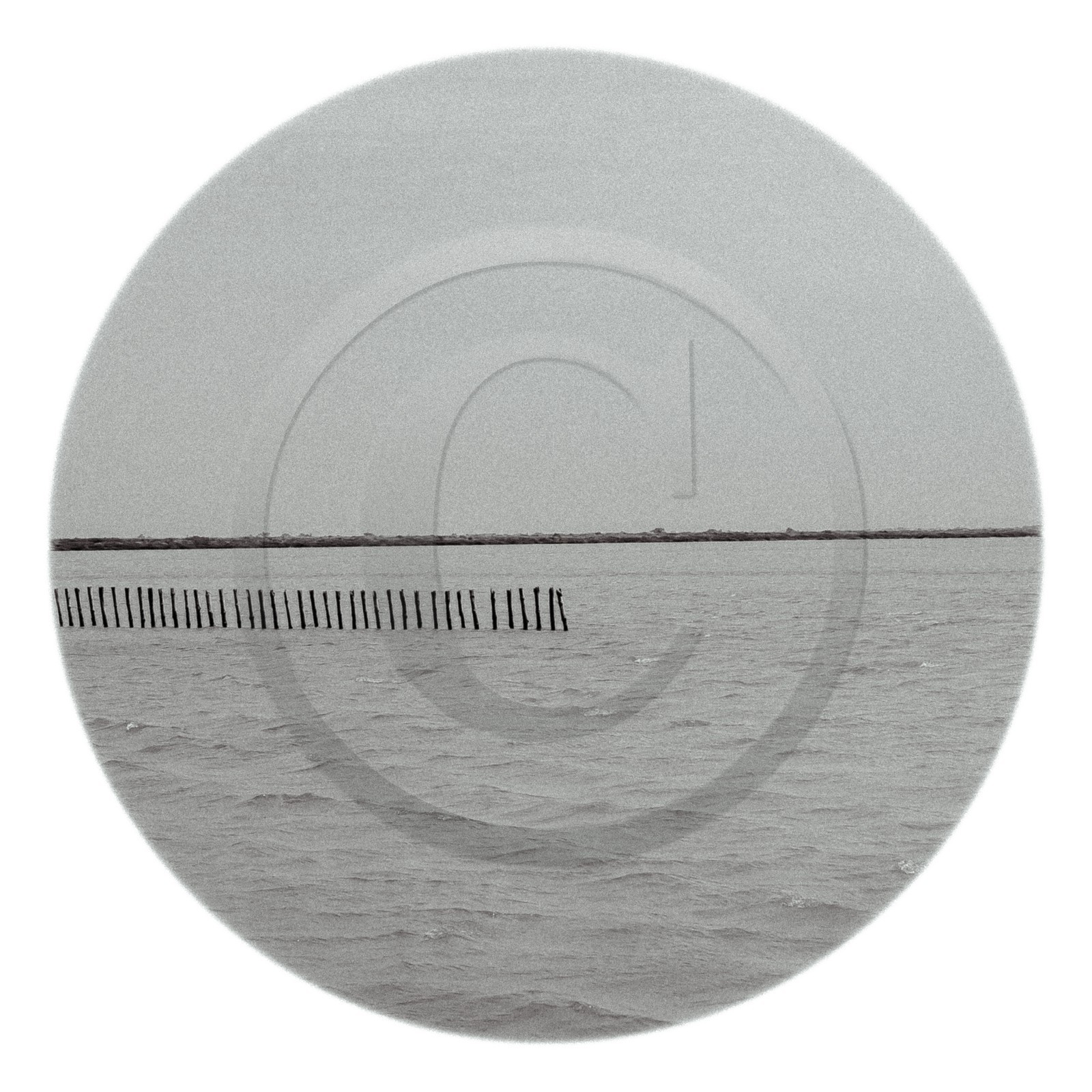 Les instants Camargue