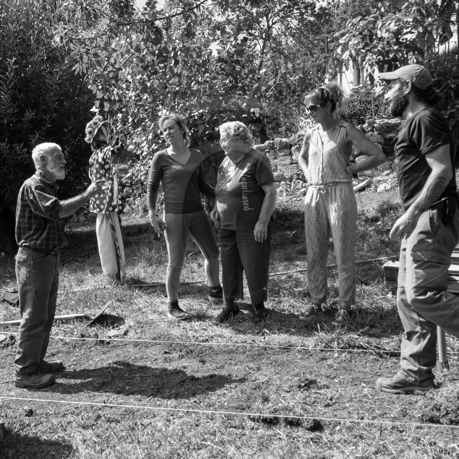 13 septembre 2017 - Chemins - Graines