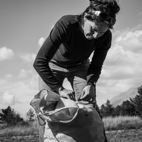 La récolte des pommes de terre