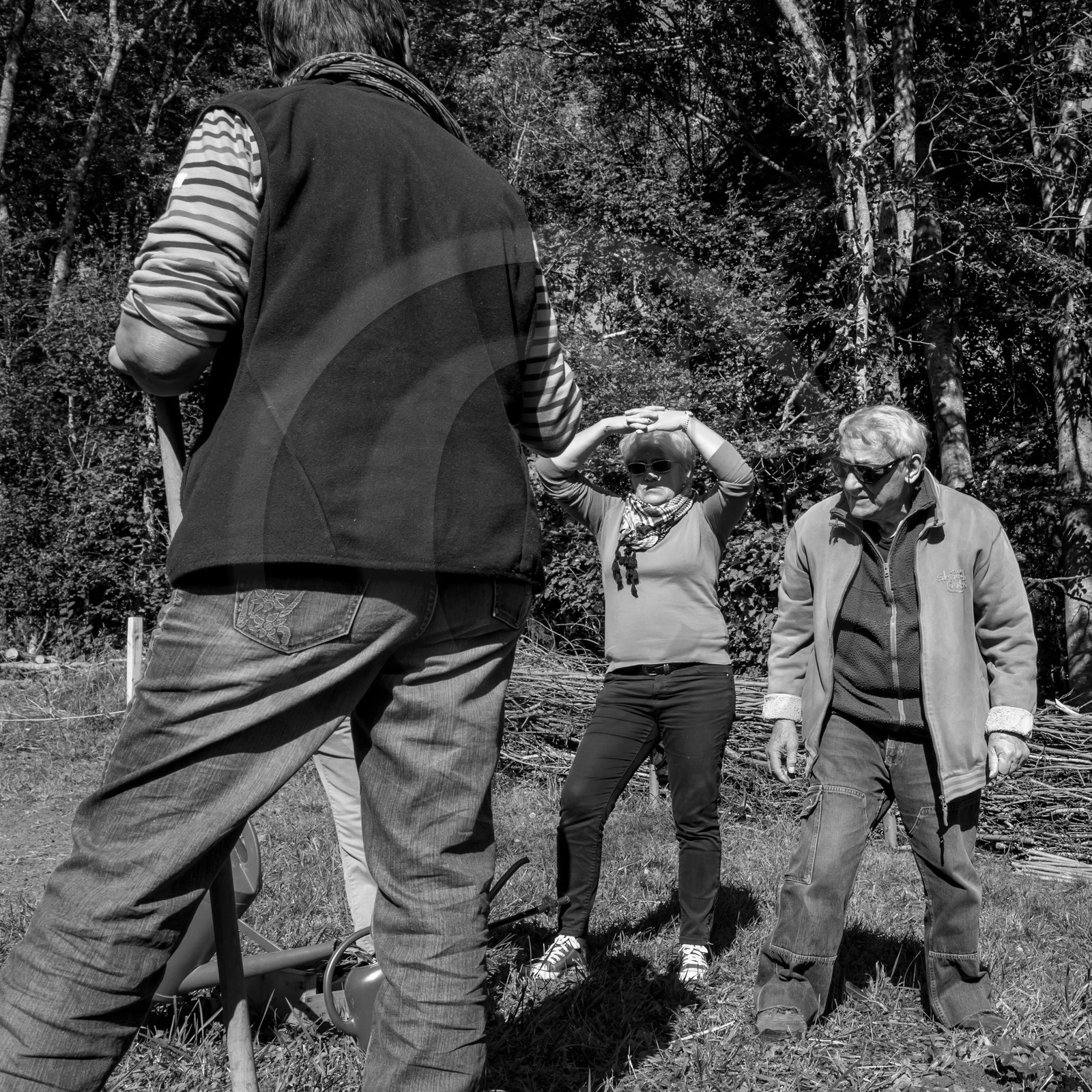 20 septembre 2017 - Jardinage