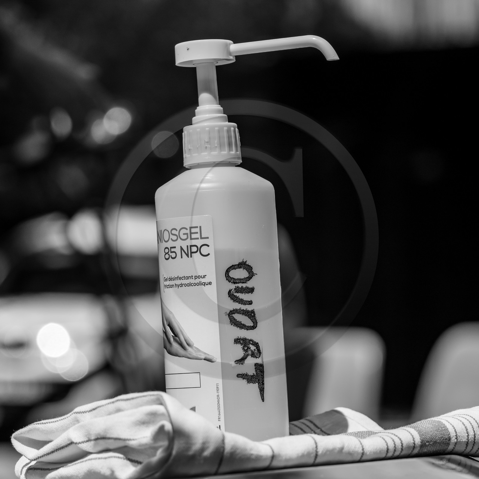 Animation musicale avec Philippe Séranne