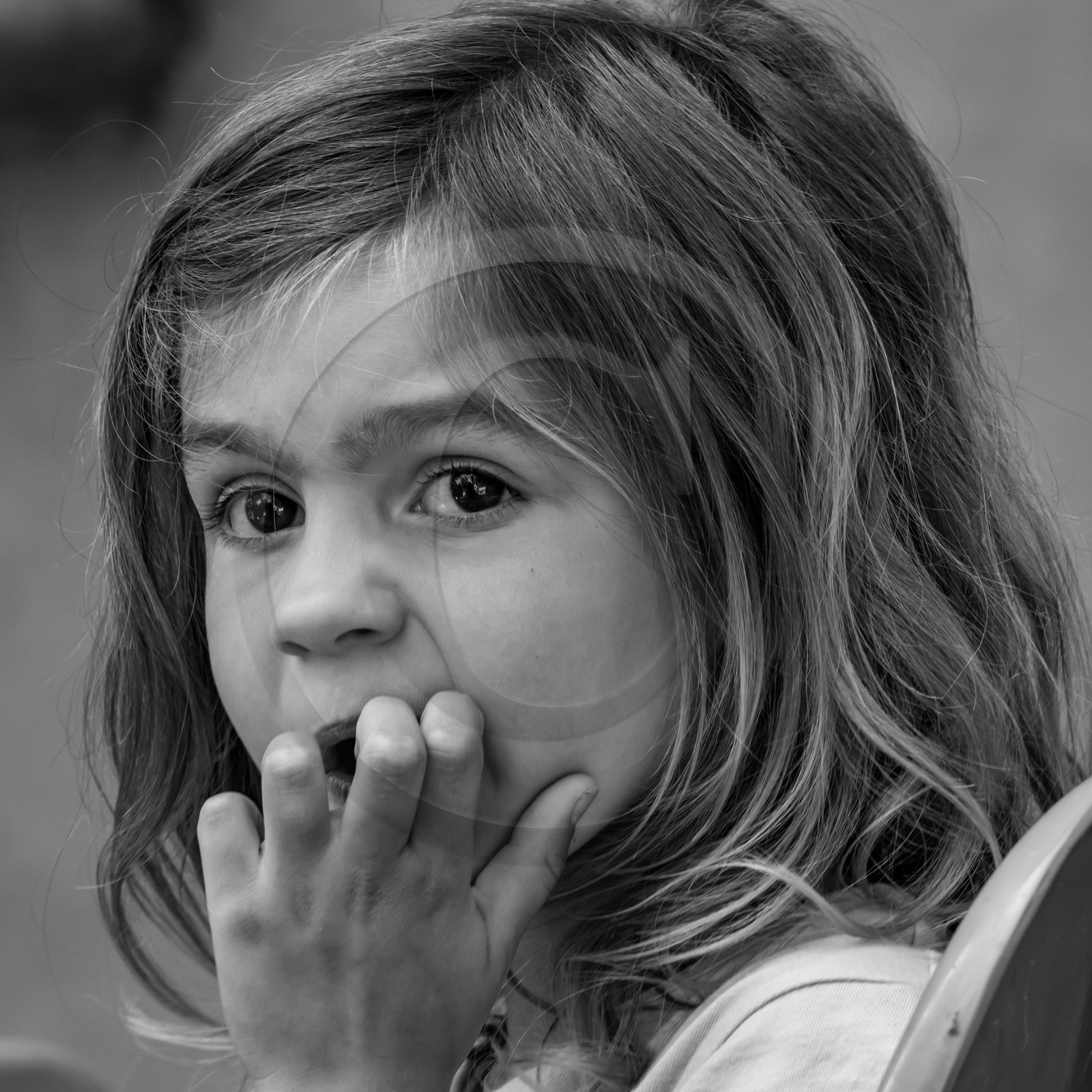 01 septembre 2021 : Promenade en cariole et contes