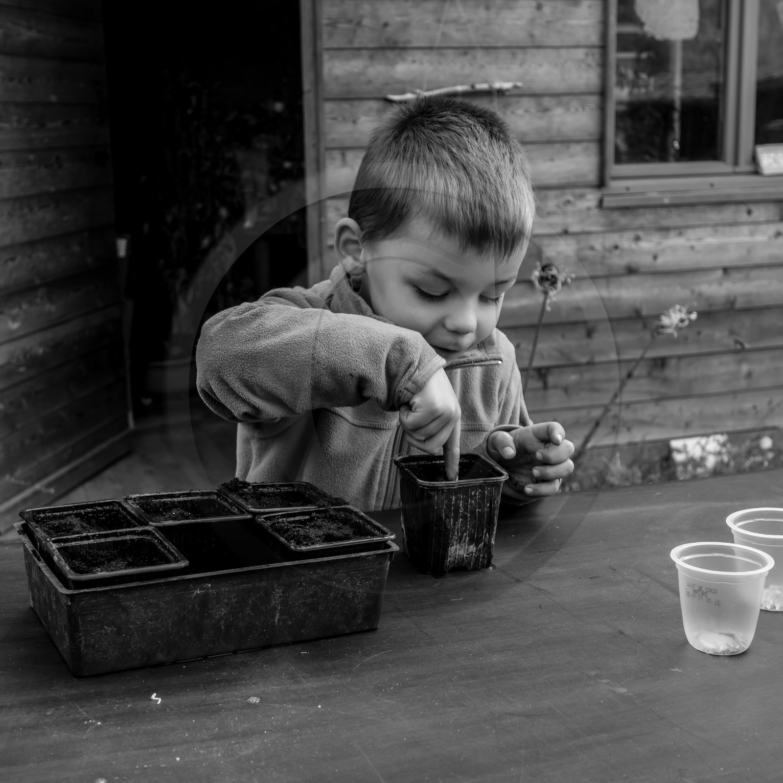 Semis, tournesols et jeux