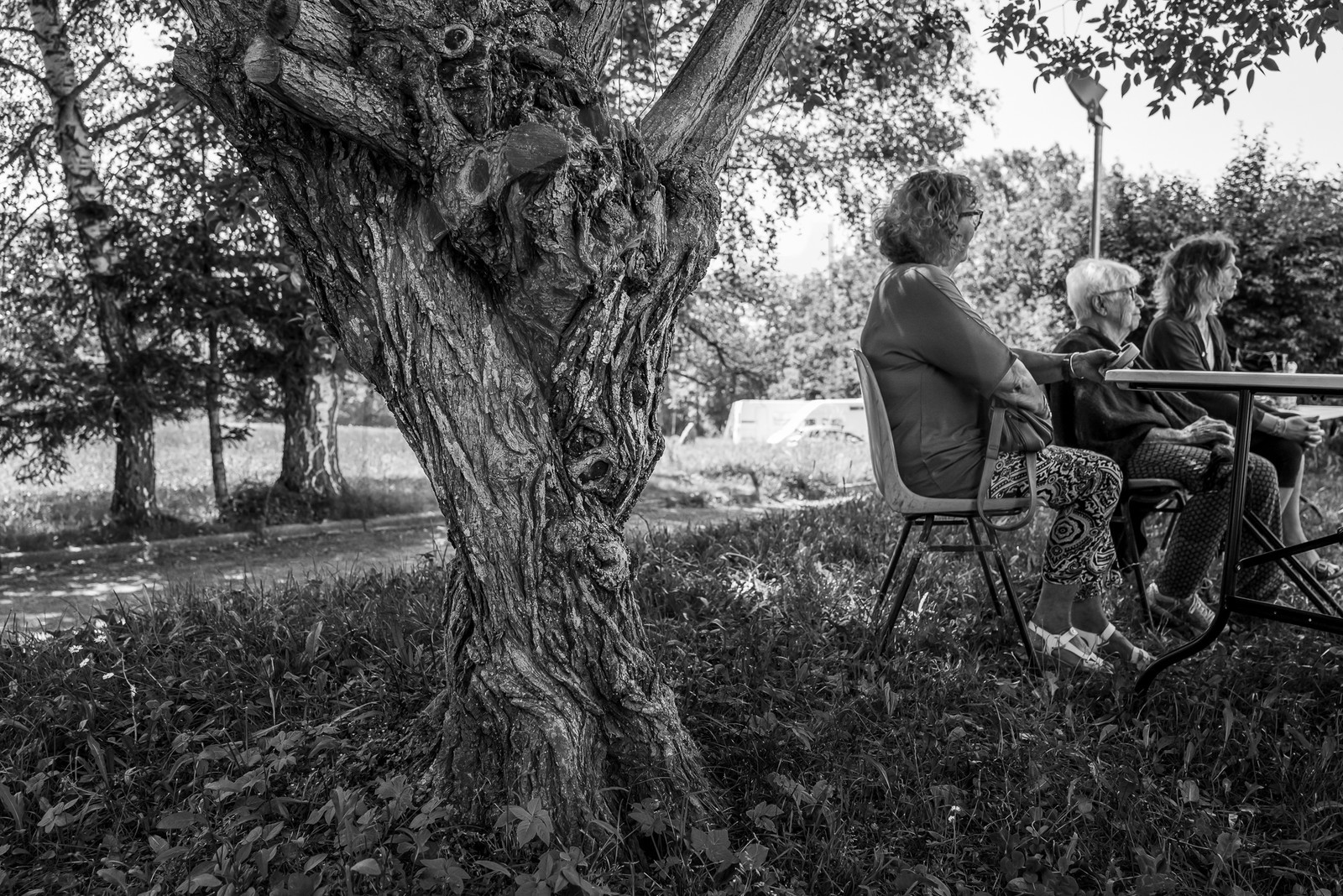 26 juin 2023 : journée des aidants et des aidés