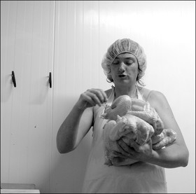 L'abattage des poulets