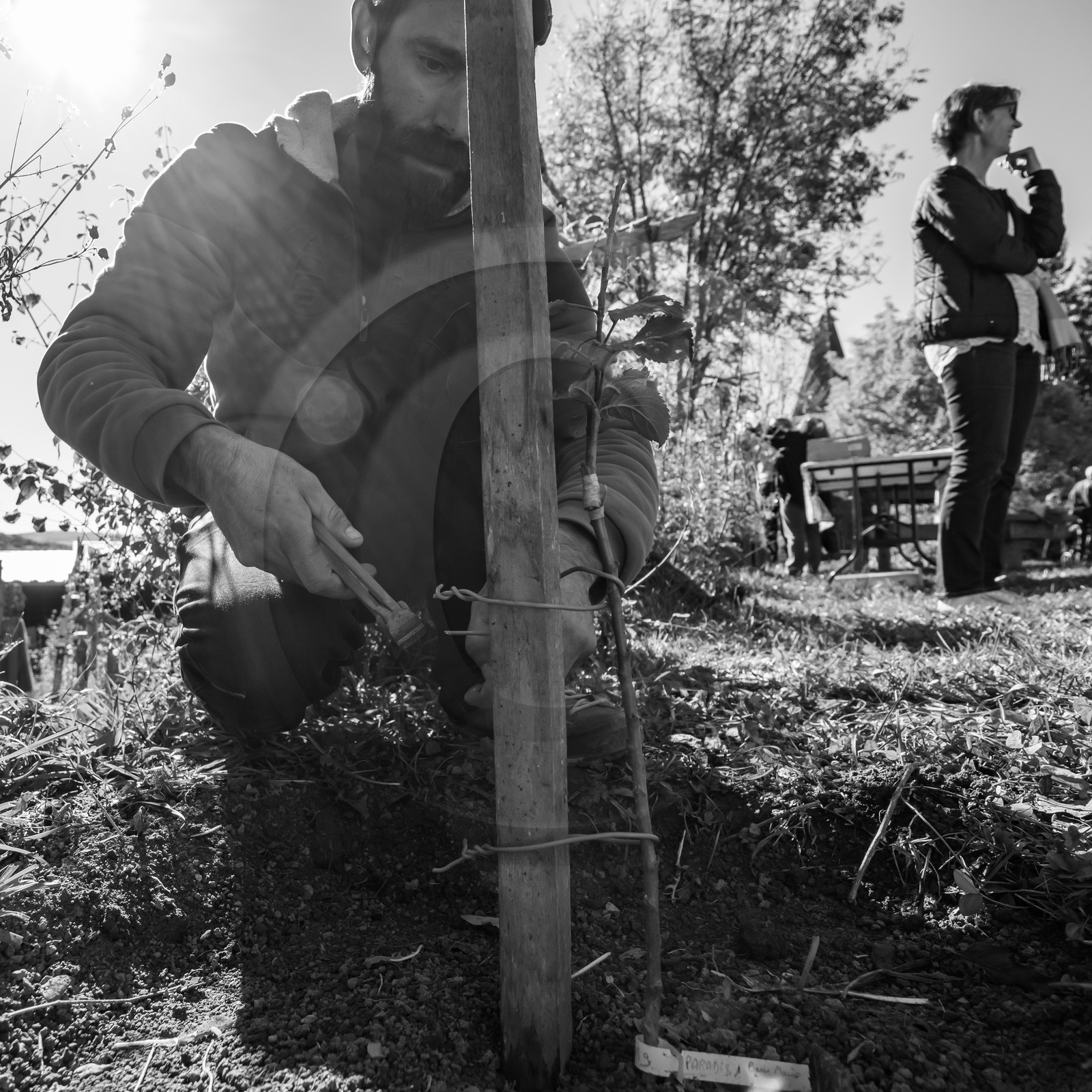 24 octobre 2021 : Fais ta soupe et ramène ta pomme