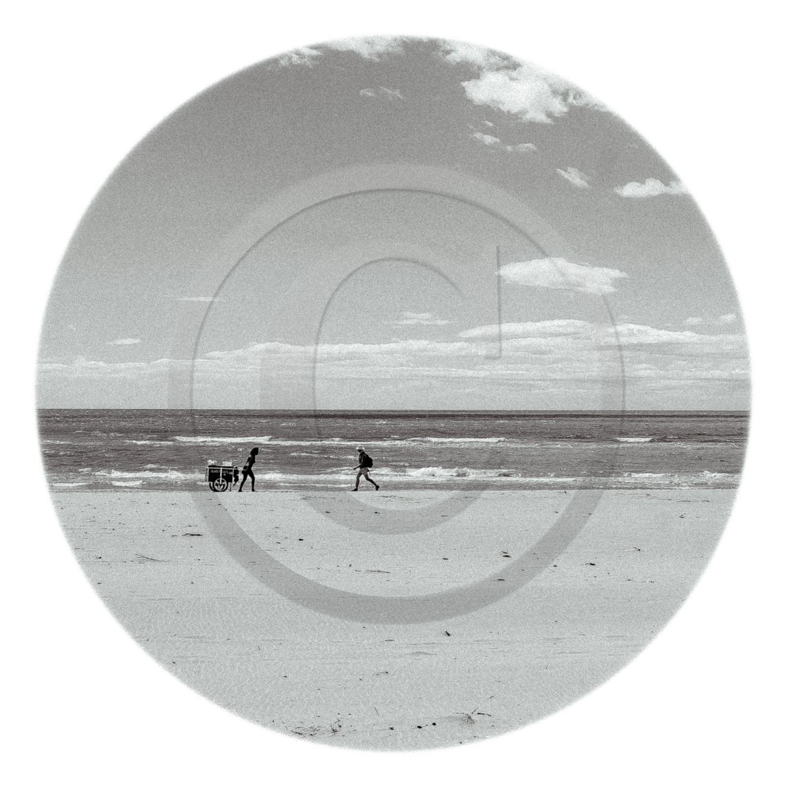 Les instants Camargue