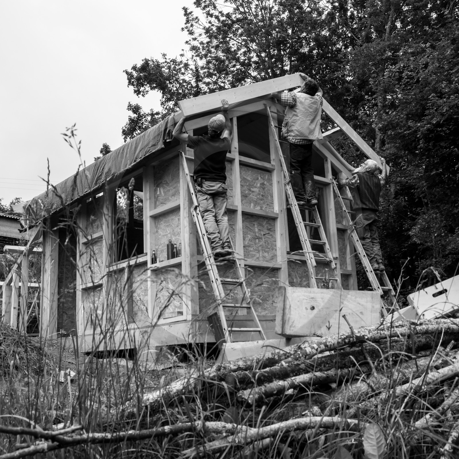 Construction d'une cabane