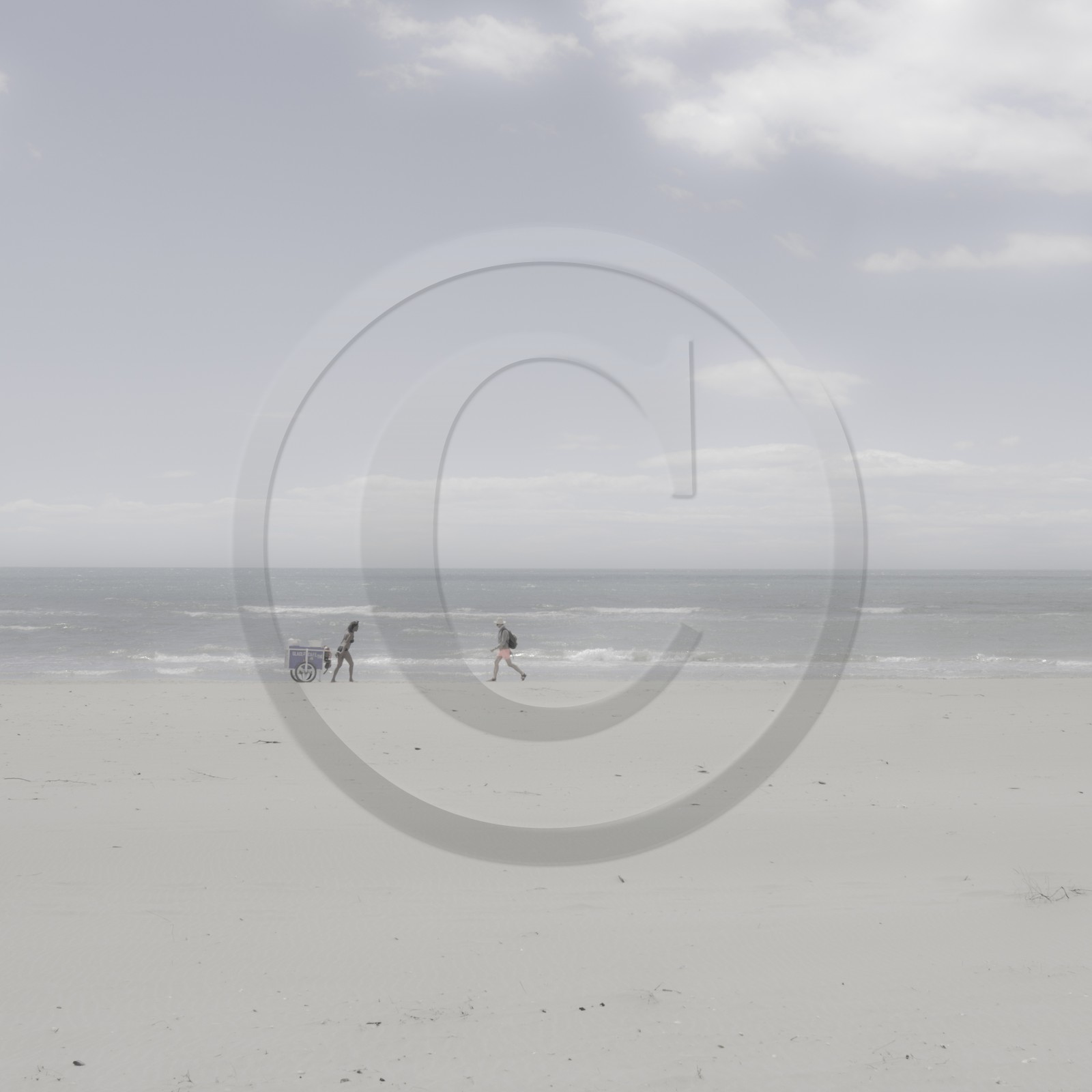 Camargue couleur pastel