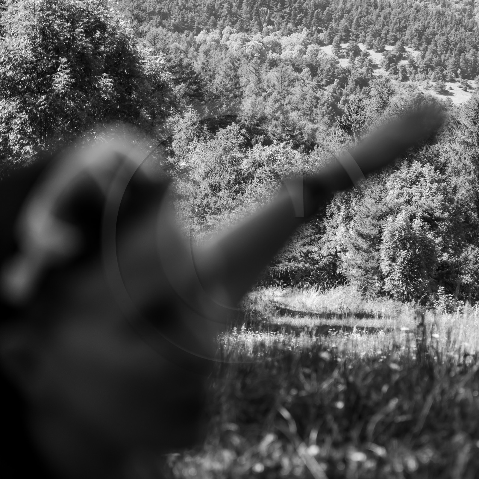 Arpenter le paysage avec Martin de la Soudière