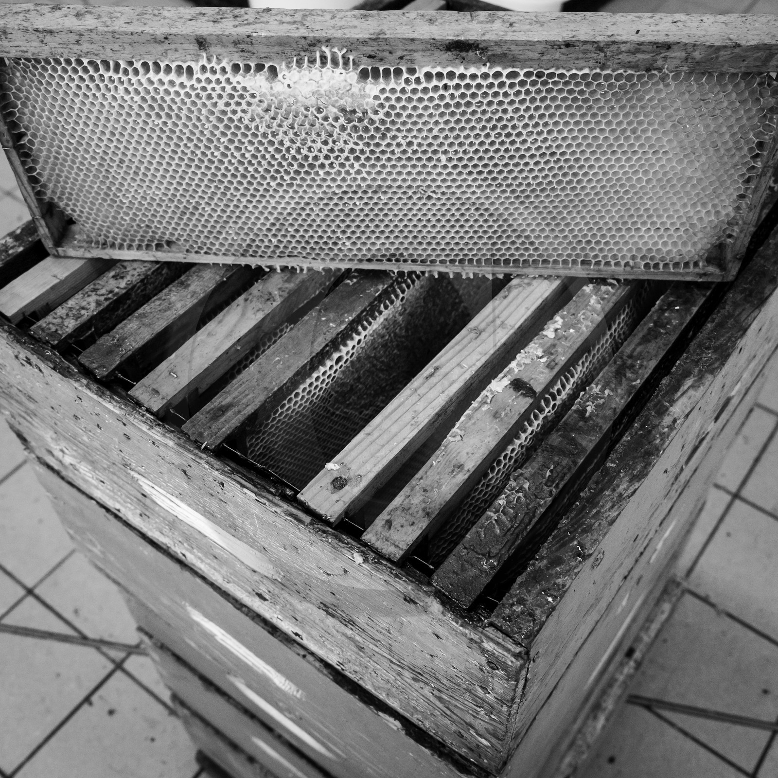 L'extraction du miel