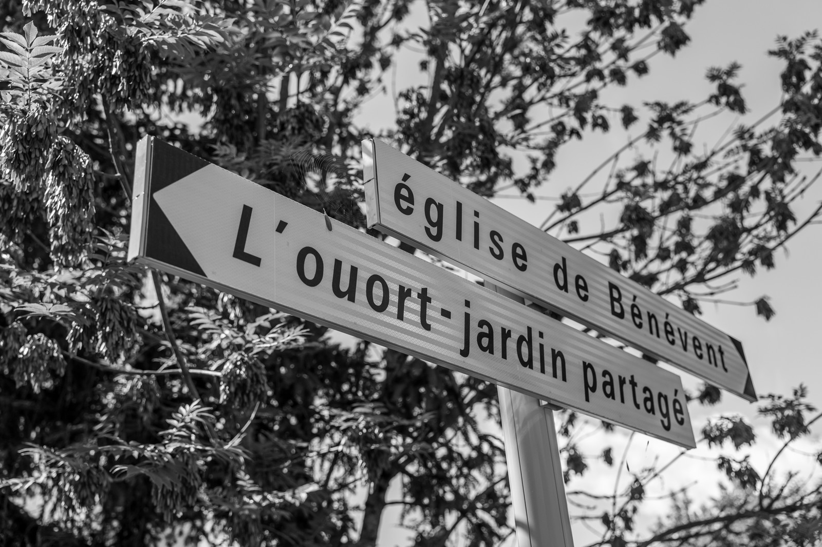 06 juin 2025 : Journée des aidants