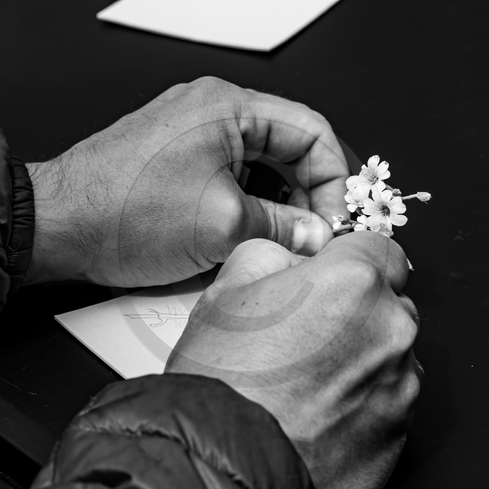 05 juin 2023 : journée des aidants et des aidés