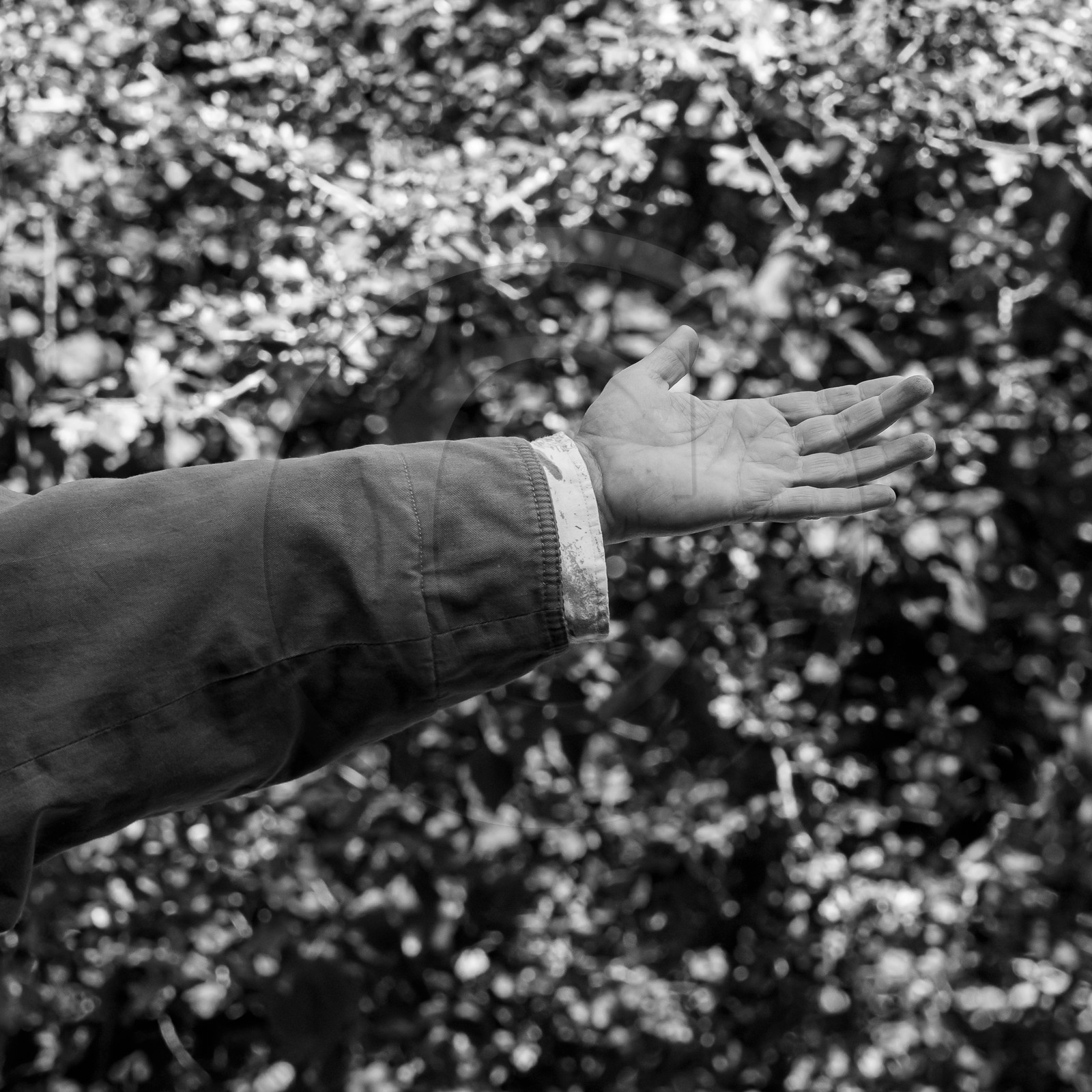 27 septembre 2023 : des crêpes et des clowns