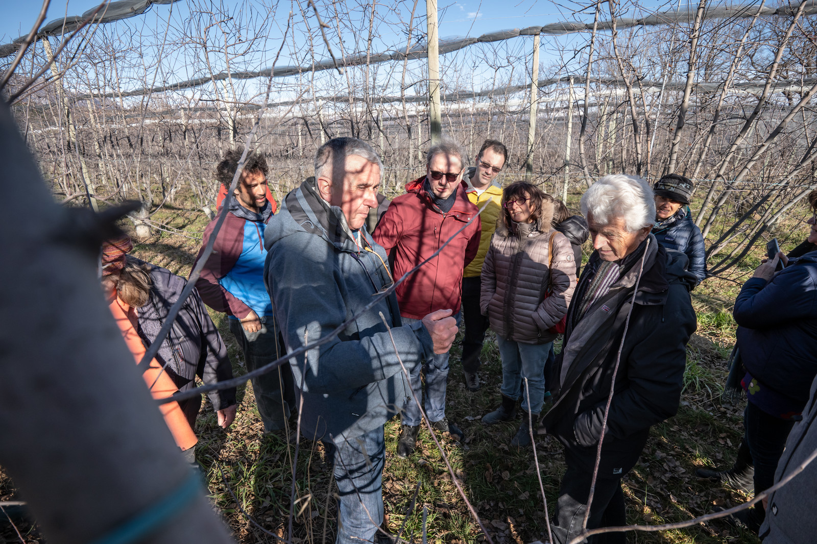 Croqueurs de pommes des Alpes Latines