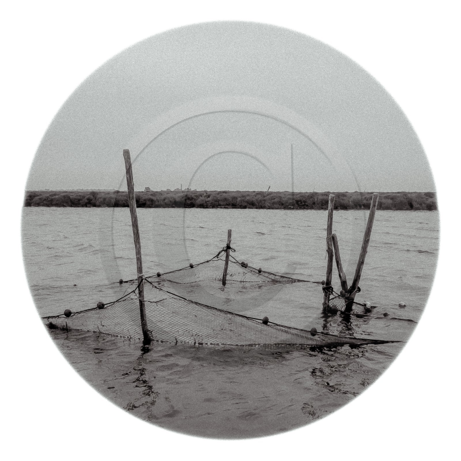 Les instants Camargue