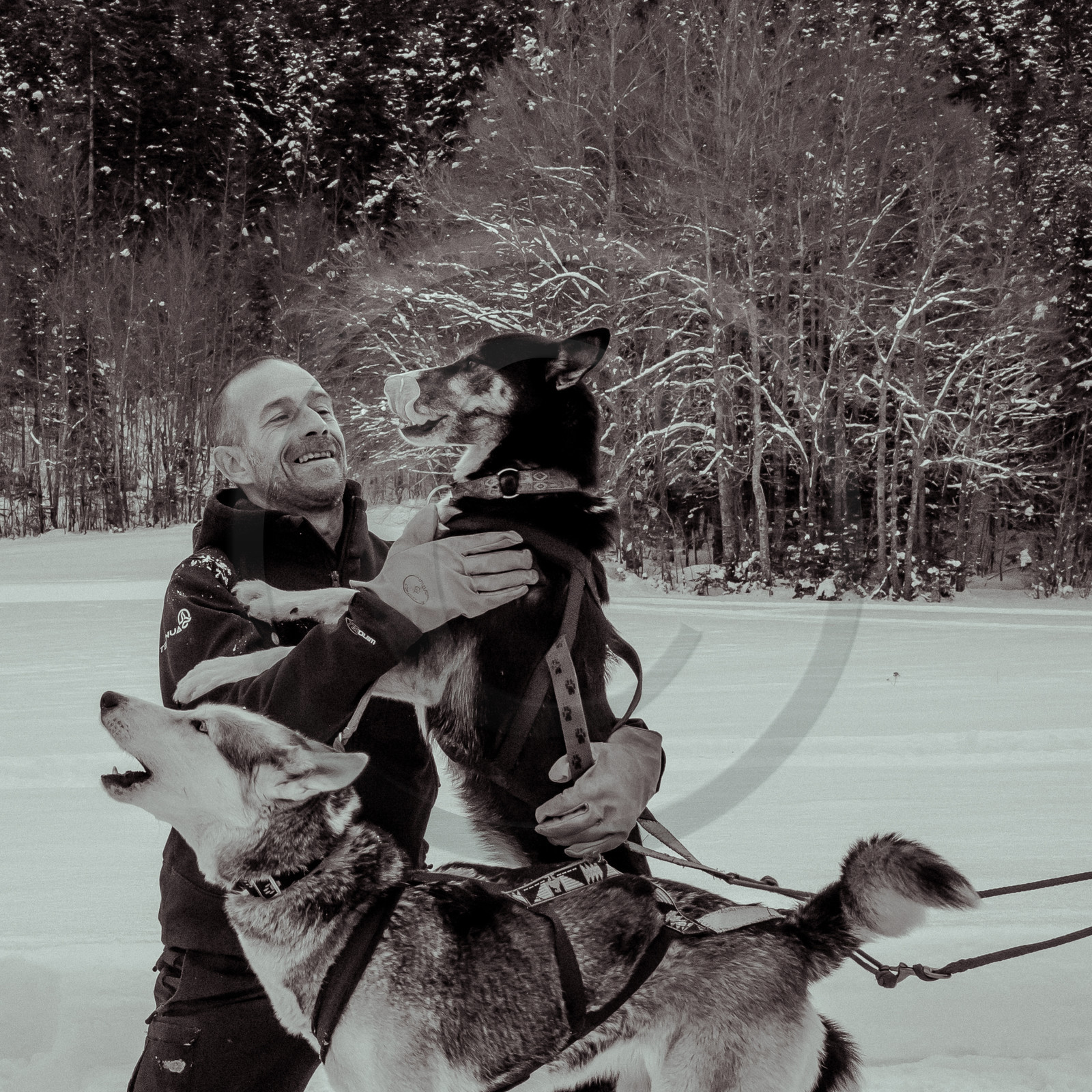 La Valgaude Traineau 2015