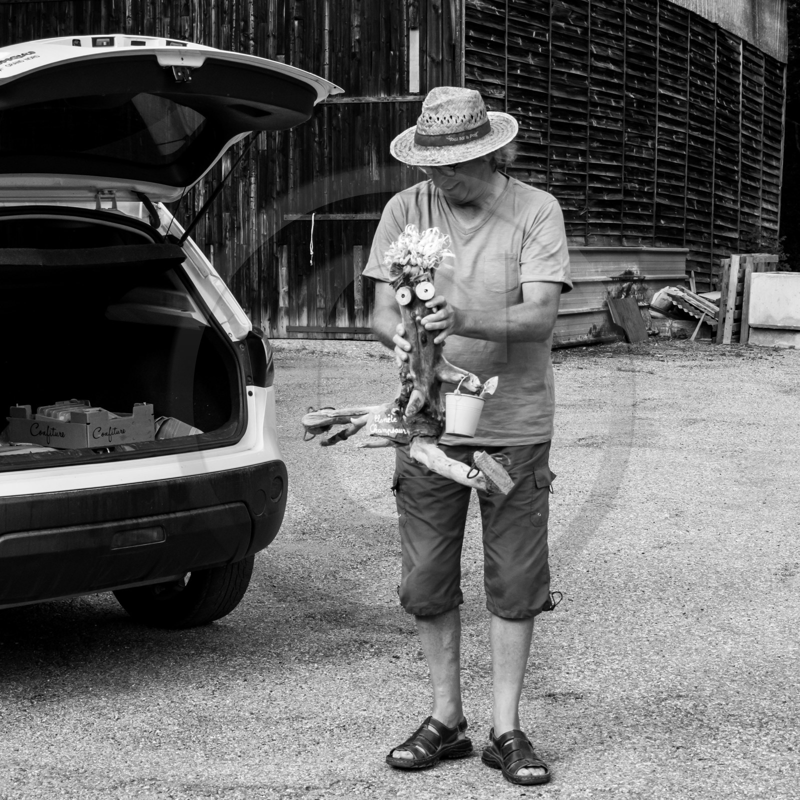 23 août 2017 - Animations