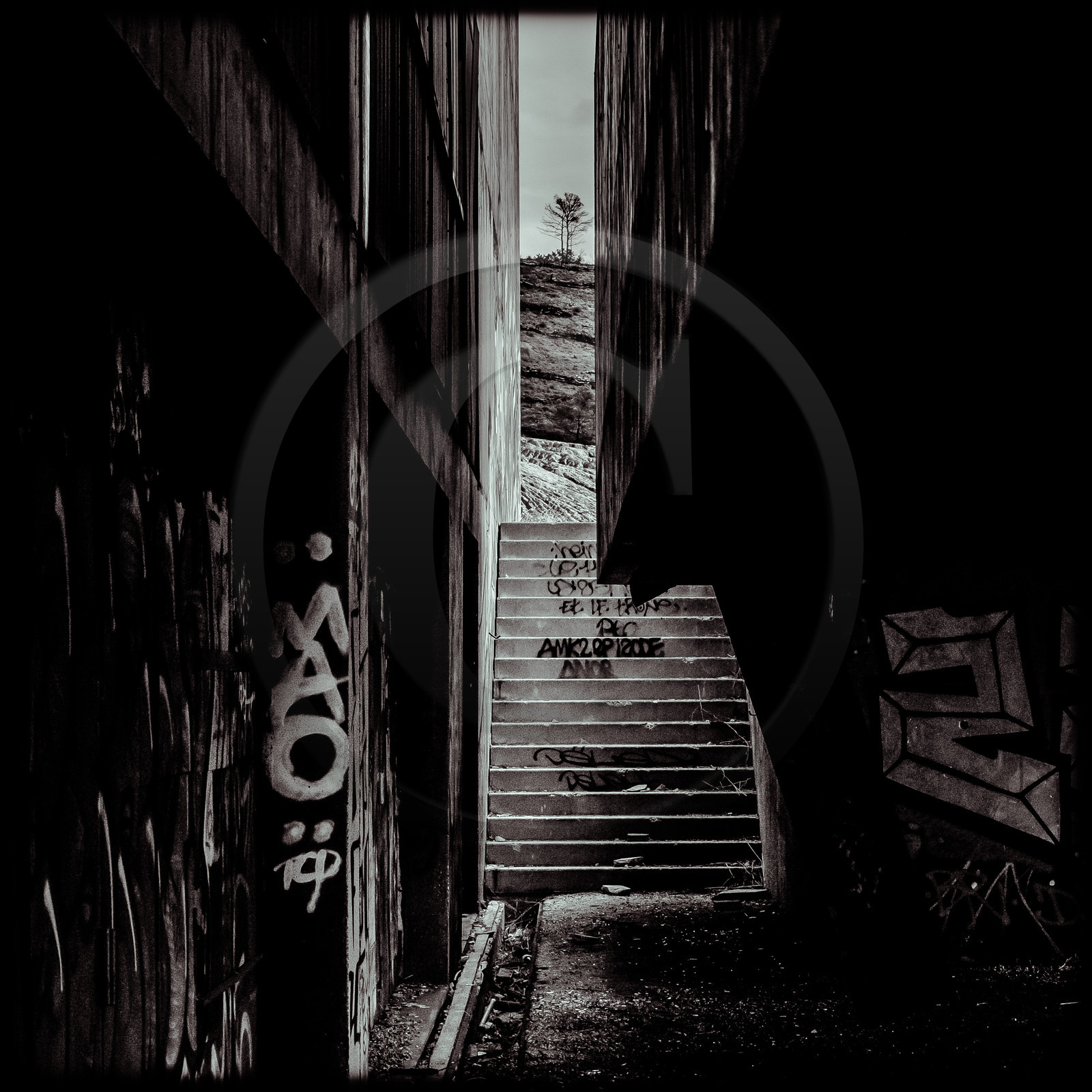 Le Stadium - Vitrolles (13)