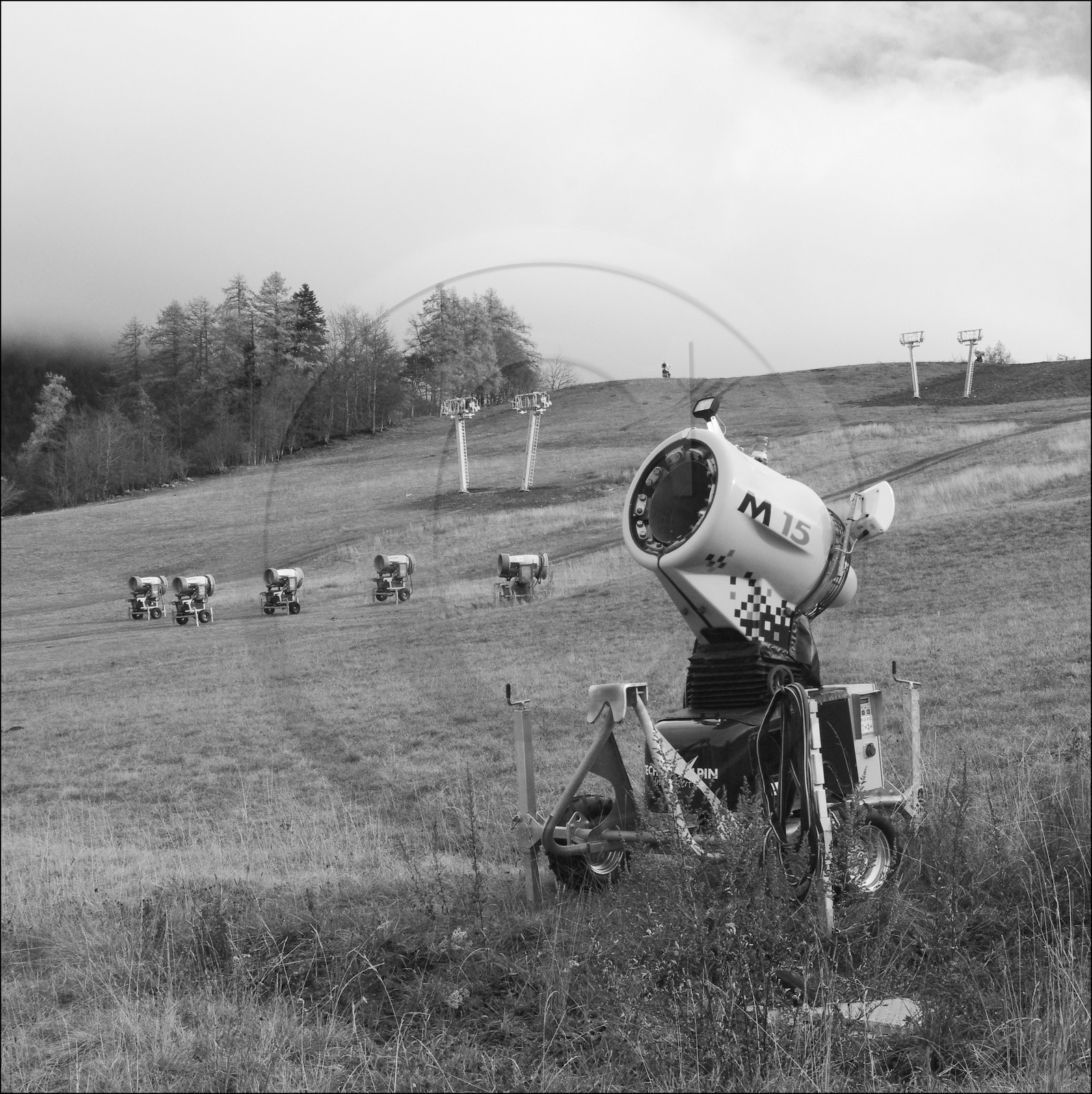 En attendant la neige