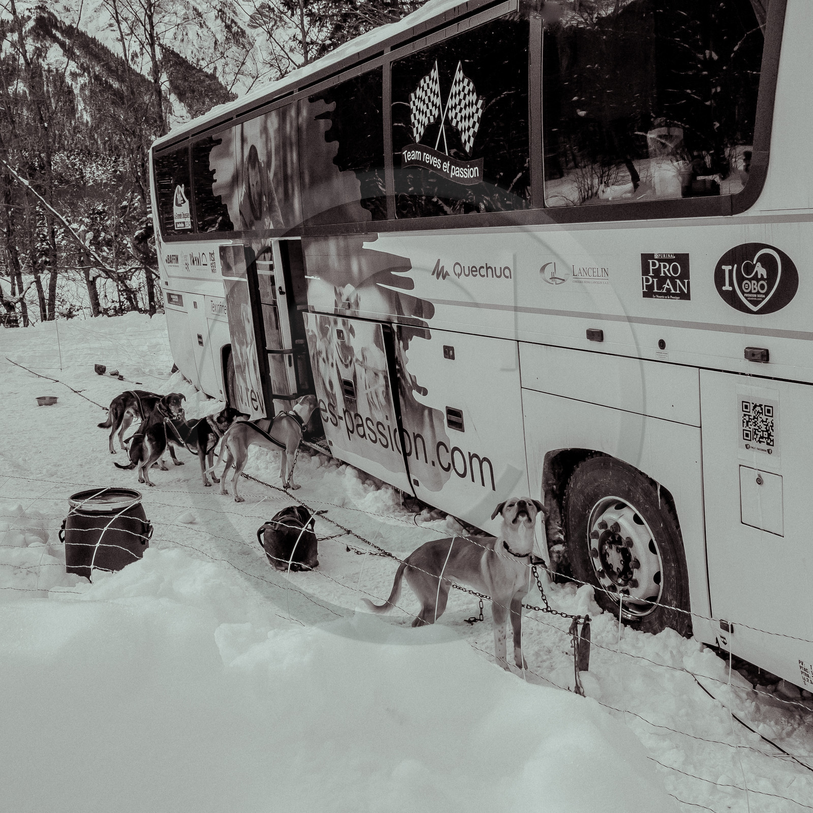 La Valgaude Traineau 2015