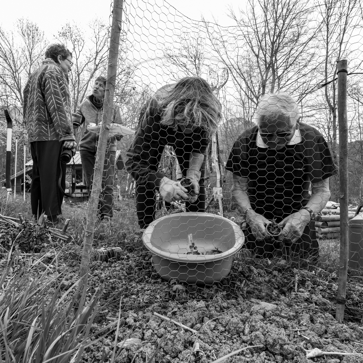 20 avril 2022 : des contes, des pommes de terre et un petit café