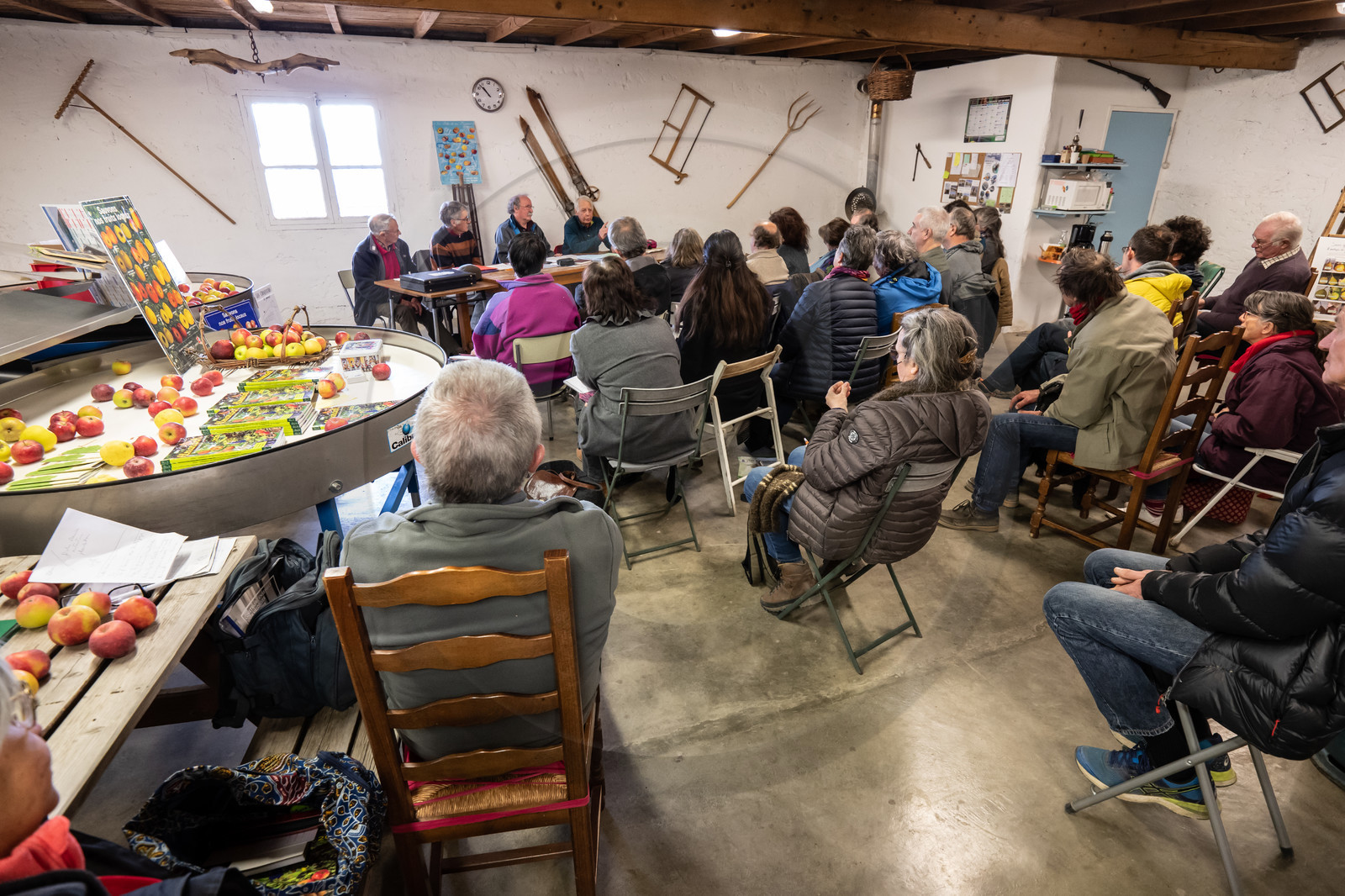 Croqueurs de pommes des Alpes Latines