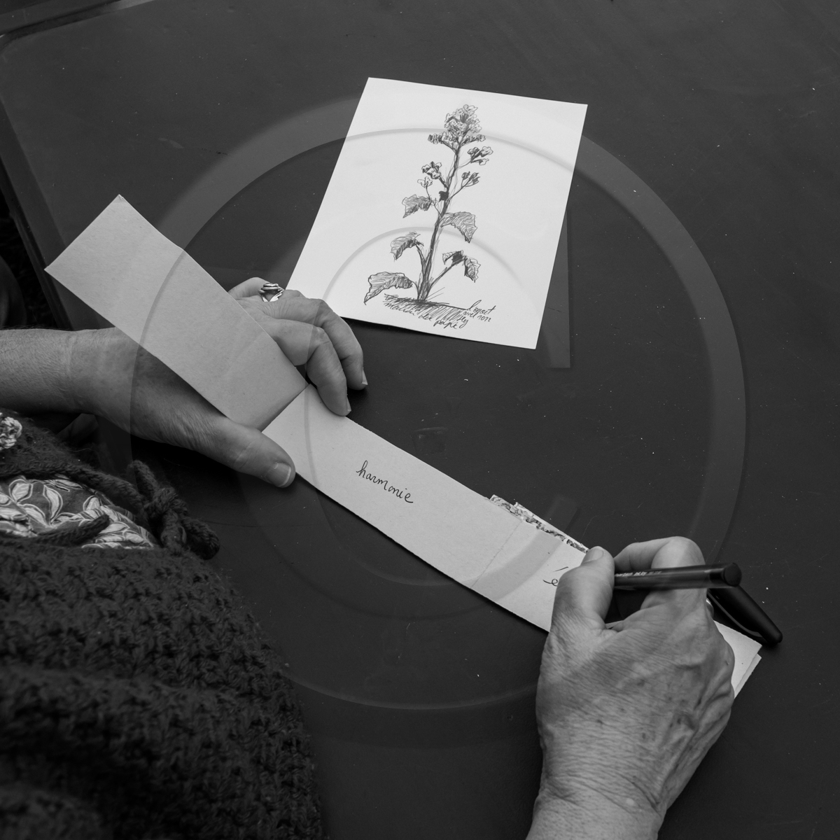 29 avril 2022 : journée des aidants et des aidés