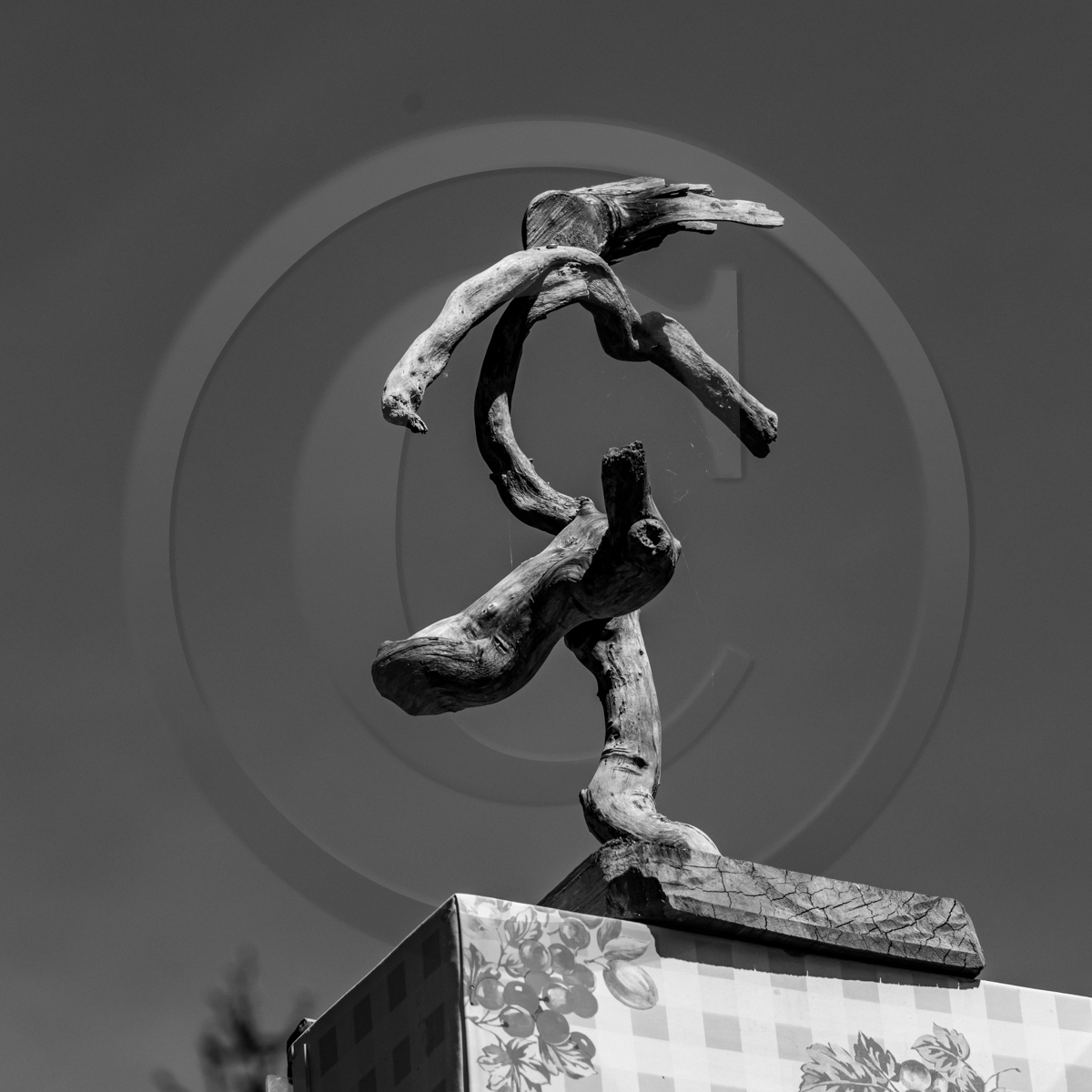 20 mai 2022 : 2ème journée des aidants