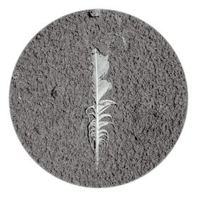 Les instants Camargue