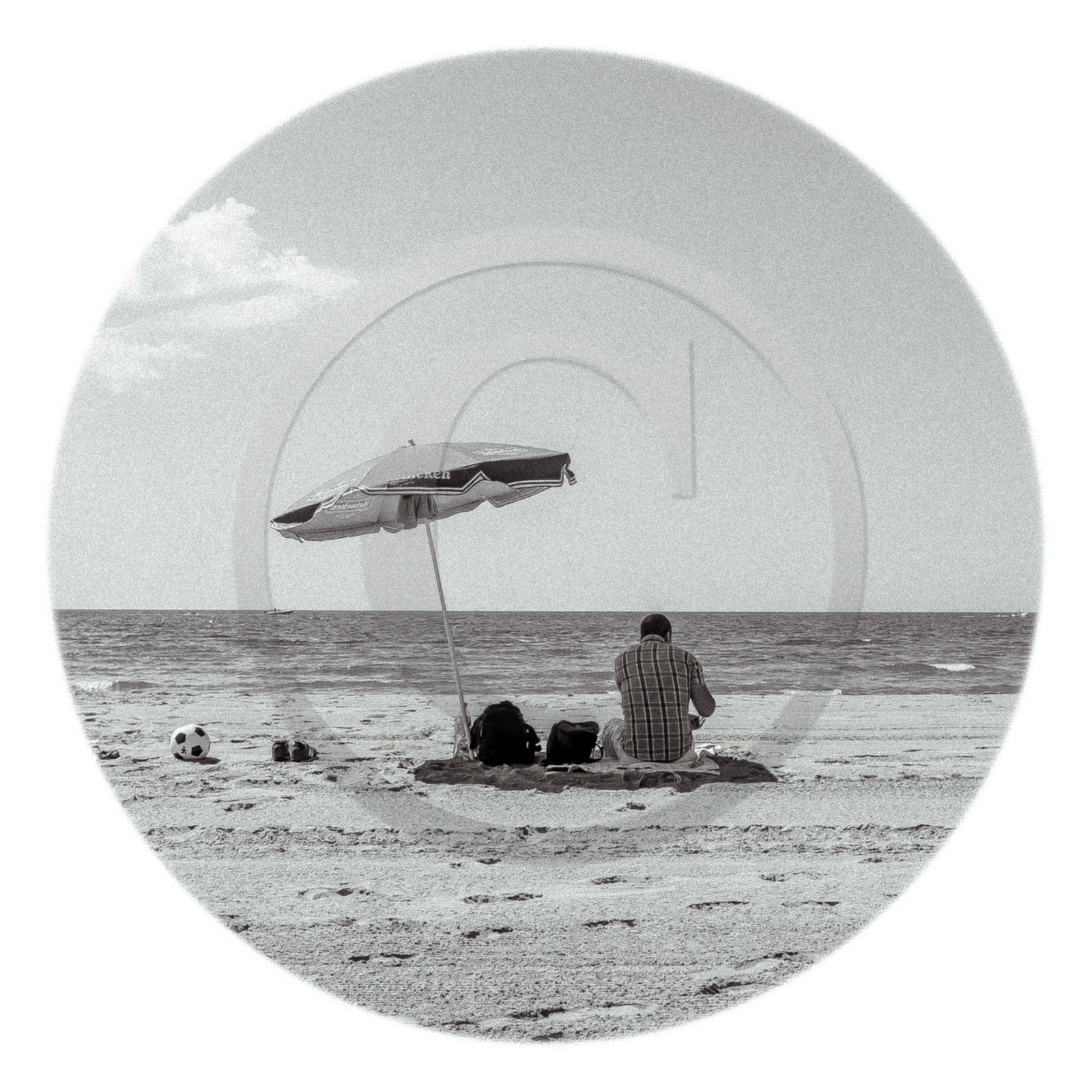 Les instants Camargue