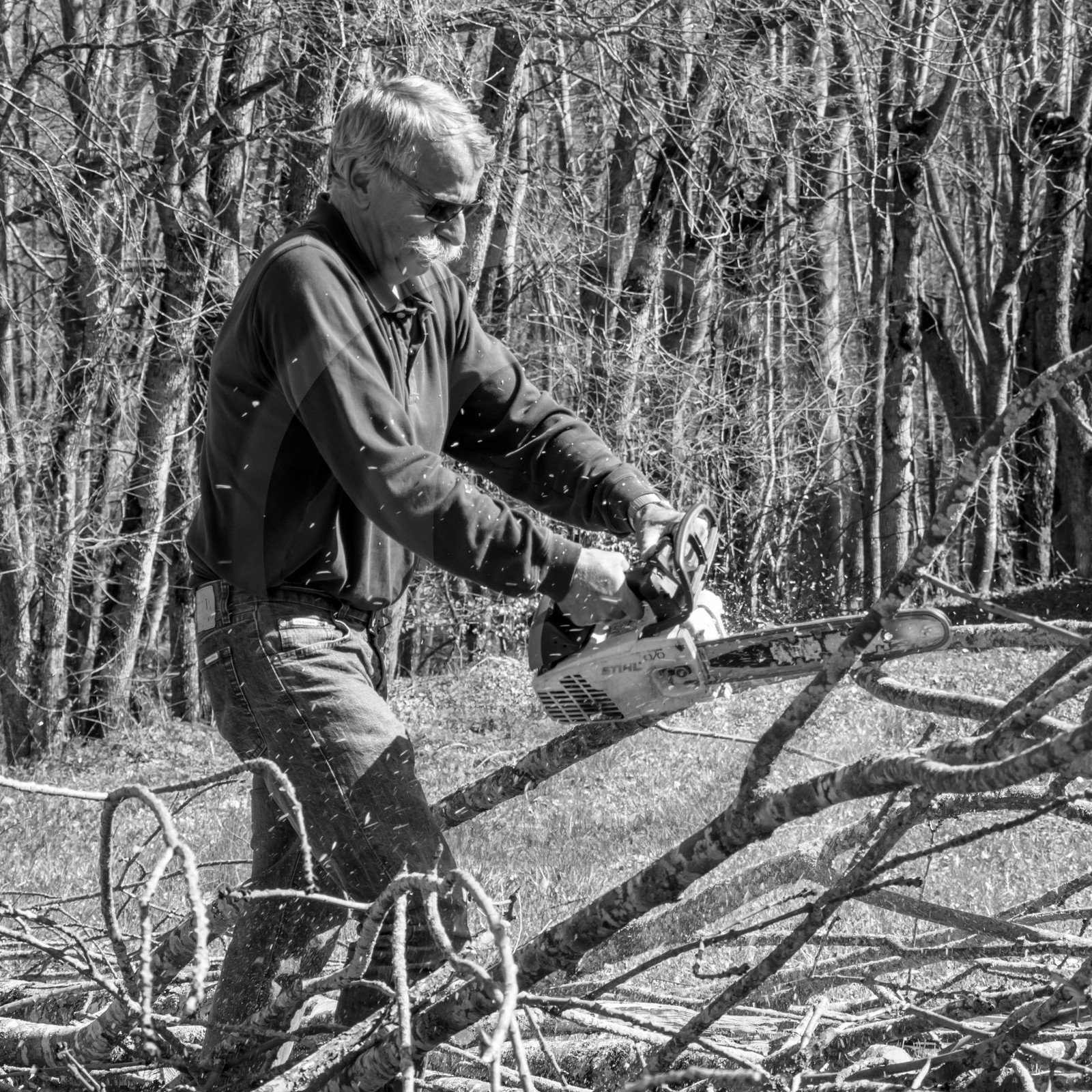 L'Ouort de Bénévent - 29 mars 2017