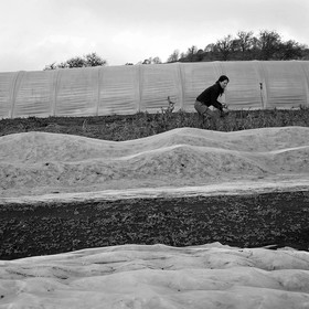 Sophie Jaussaud, maraichère à Ancelle